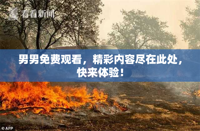 男男免费观看，精彩内容尽在此处，快来体验！