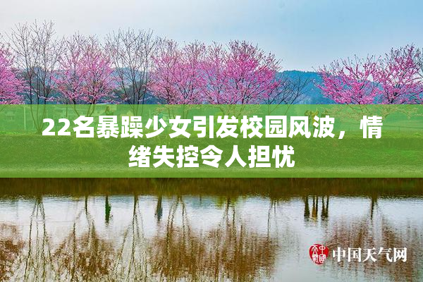22名暴躁少女引发校园风波，情绪失控令人担忧