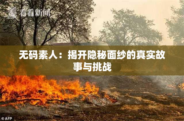 无码素人：揭开隐秘面纱的真实故事与挑战
