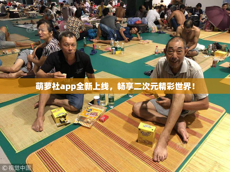 萌萝社app全新上线，畅享二次元精彩世界！