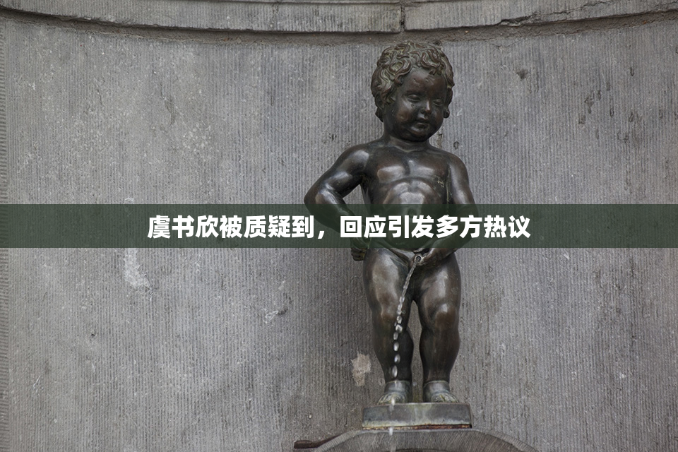 虞书欣被质疑到，回应引发多方热议