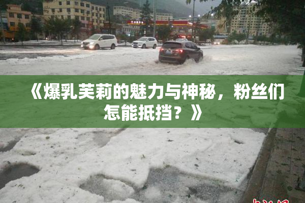《爆乳芙莉的魅力与神秘，粉丝们怎能抵挡？》