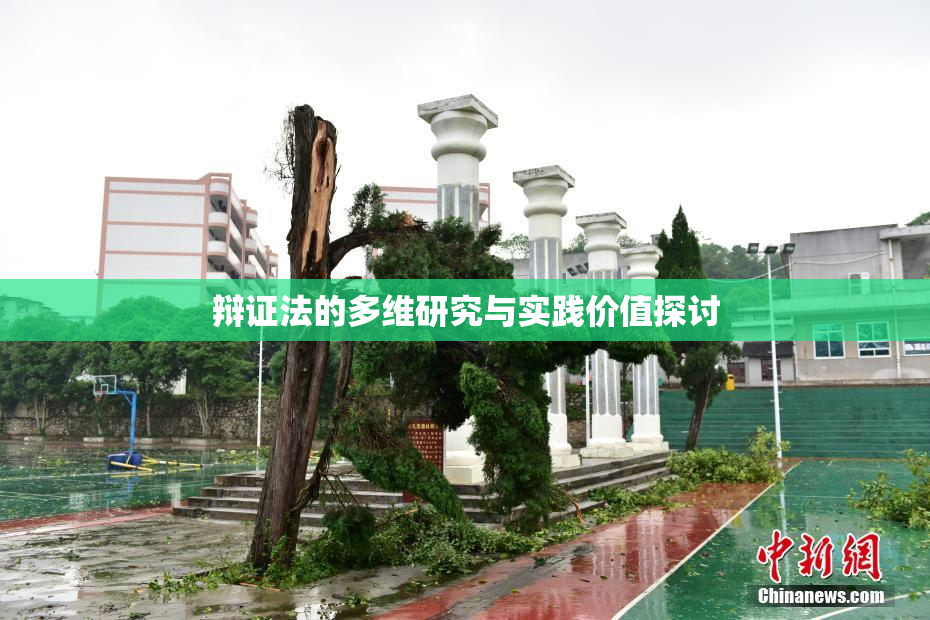 辩证法的多维研究与实践价值探讨