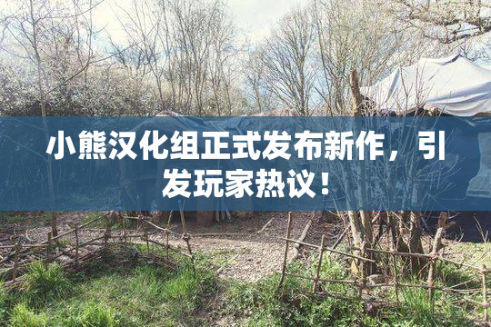 小熊汉化组正式发布新作，引发玩家热议！