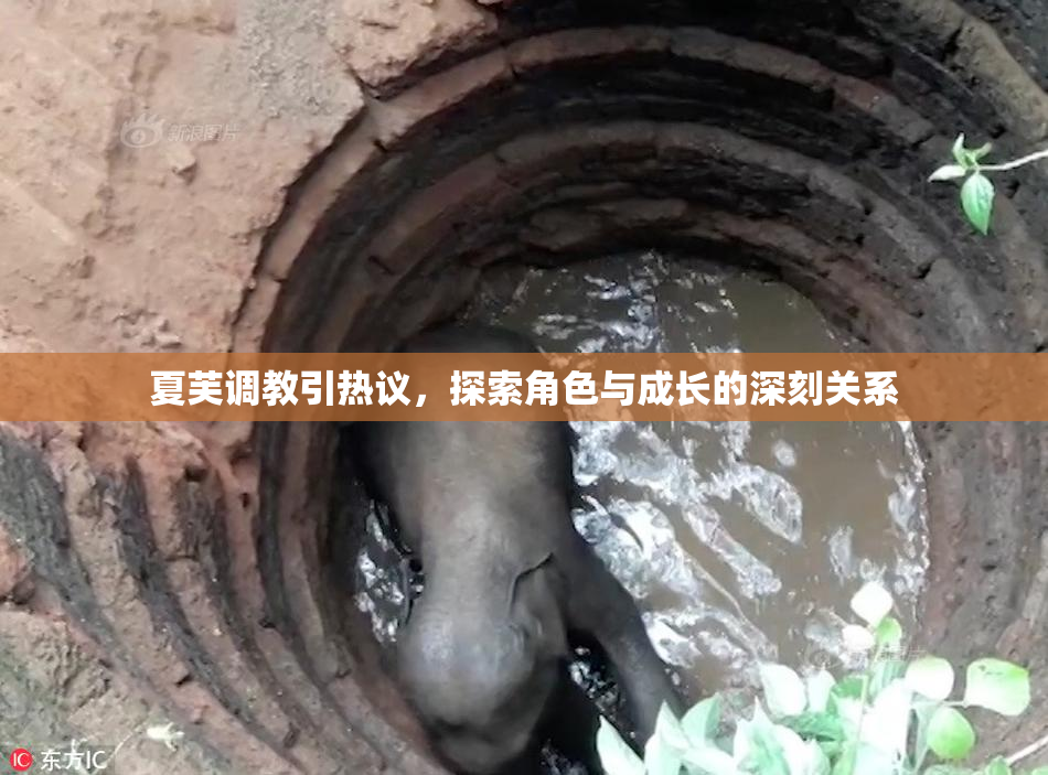 夏芙调教引热议，探索角色与成长的深刻关系