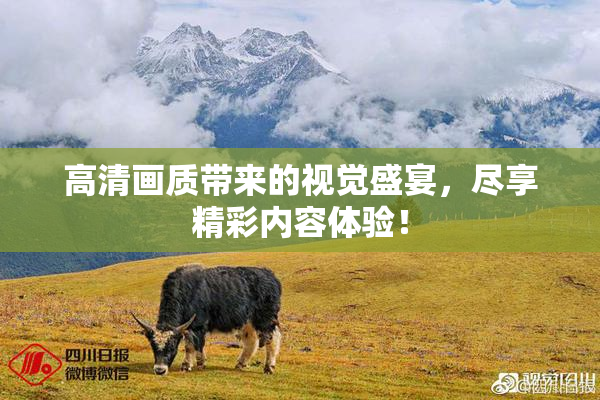 高清画质带来的视觉盛宴，尽享精彩内容体验！