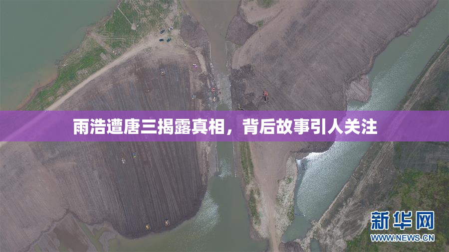 雨浩遭唐三揭露真相，背后故事引人关注