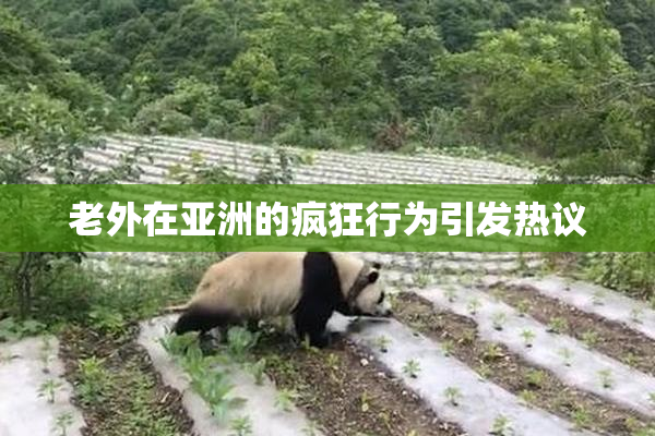 老外在亚洲的疯狂行为引发热议
