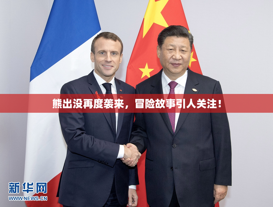 熊出没再度袭来，冒险故事引人关注！