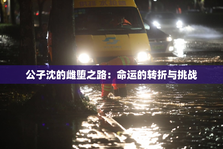公子沈的雌堕之路：命运的转折与挑战