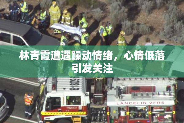 林青霞遭遇躁动情绪，心情低落引发关注