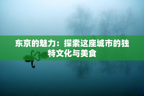 东京的魅力：探索这座城市的独特文化与美食