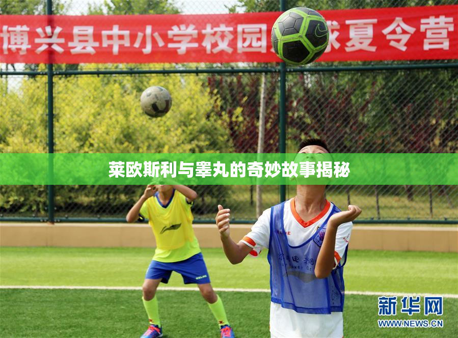 莱欧斯利与睾丸的奇妙故事揭秘