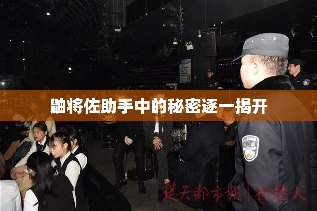 鼬将佐助手中的秘密逐一揭开