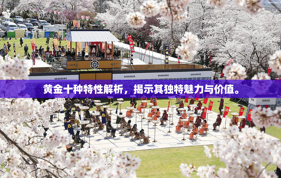 黄金十种特性解析，揭示其独特魅力与价值。