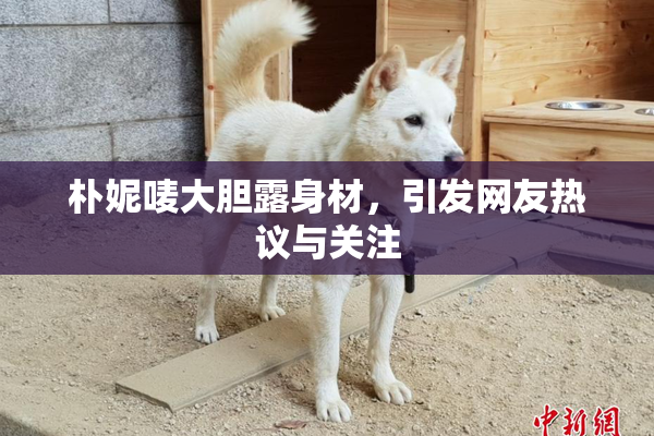 朴妮唛大胆露身材，引发网友热议与关注