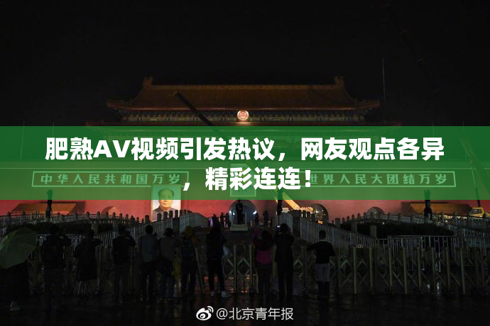 肥熟AV视频引发热议，网友观点各异，精彩连连！