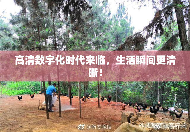 高清数字化时代来临，生活瞬间更清晰！