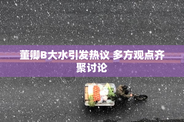 董卿B大水引发热议 多方观点齐聚讨论