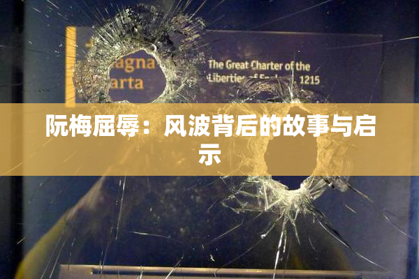 阮梅屈辱：风波背后的故事与启示
