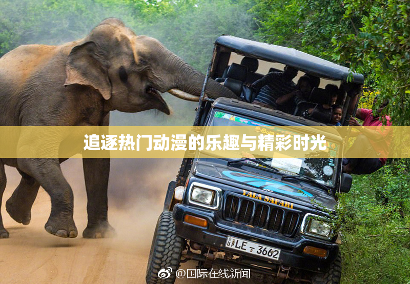 追逐热门动漫的乐趣与精彩时光