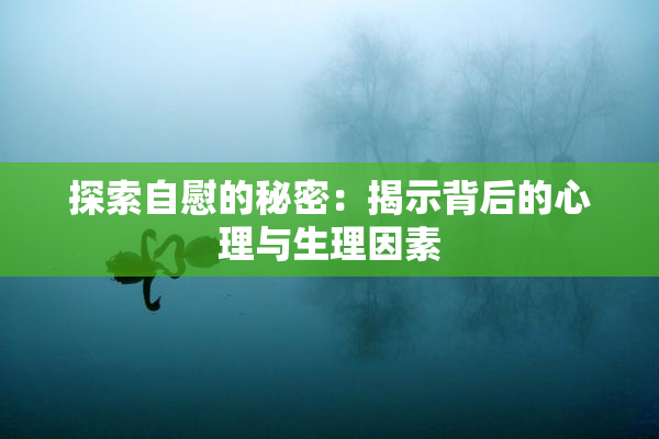 探索自慰的秘密：揭示背后的心理与生理因素