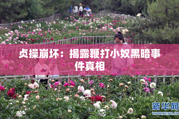 贞操崩坏：揭露鞭打小奴黑暗事件真相