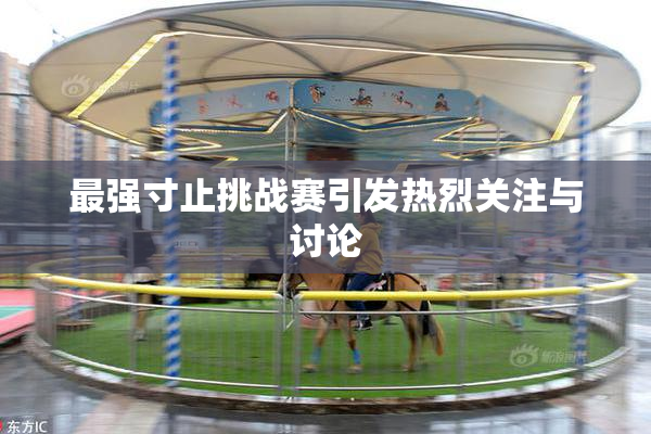 最强寸止挑战赛引发热烈关注与讨论