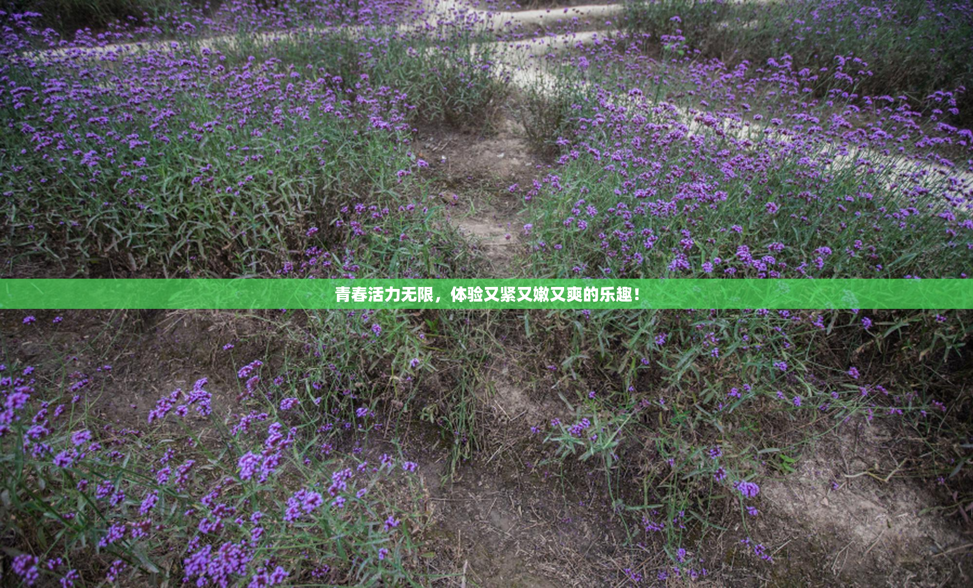 青春活力无限，体验又紧又嫩又爽的乐趣！