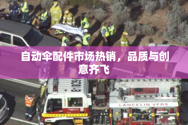 自动伞配件市场热销，品质与创意齐飞