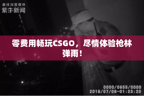 零费用畅玩CSGO，尽情体验枪林弹雨！