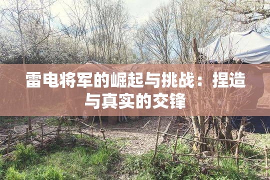 雷电将军的崛起与挑战：捏造与真实的交锋