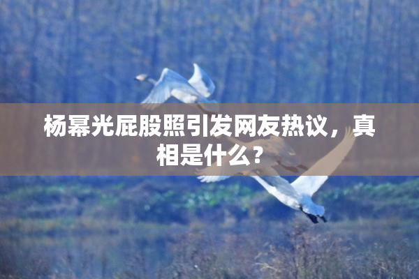 杨幂光屁股照引发网友热议，真相是什么？