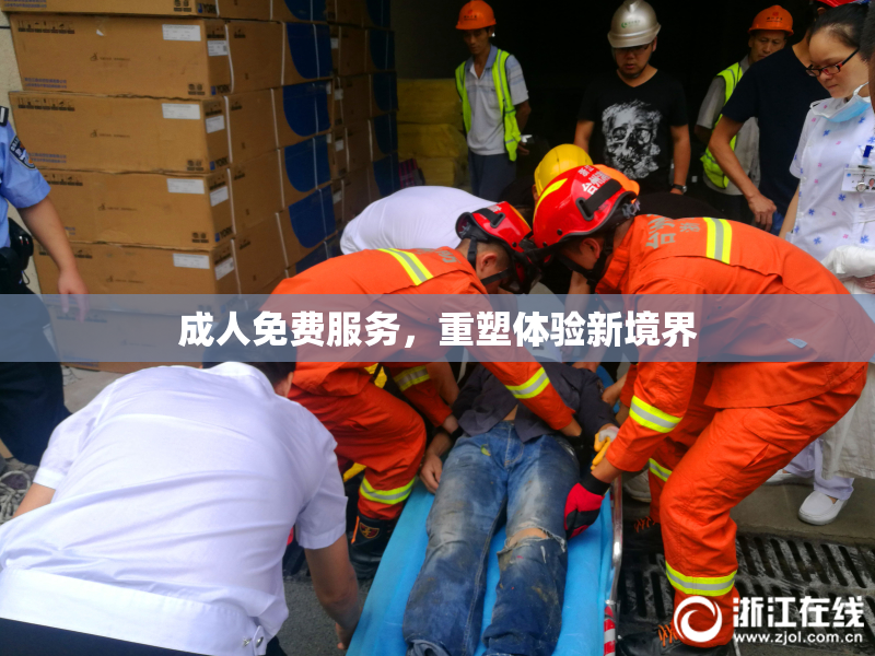 成人免费服务，重塑体验新境界