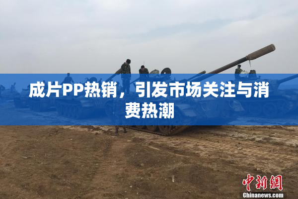 成片PP热销，引发市场关注与消费热潮