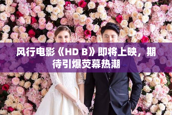 风行电影《HD B》即将上映，期待引爆荧幕热潮