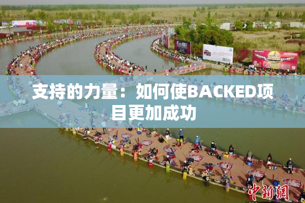 支持的力量：如何使BACKED项目更加成功