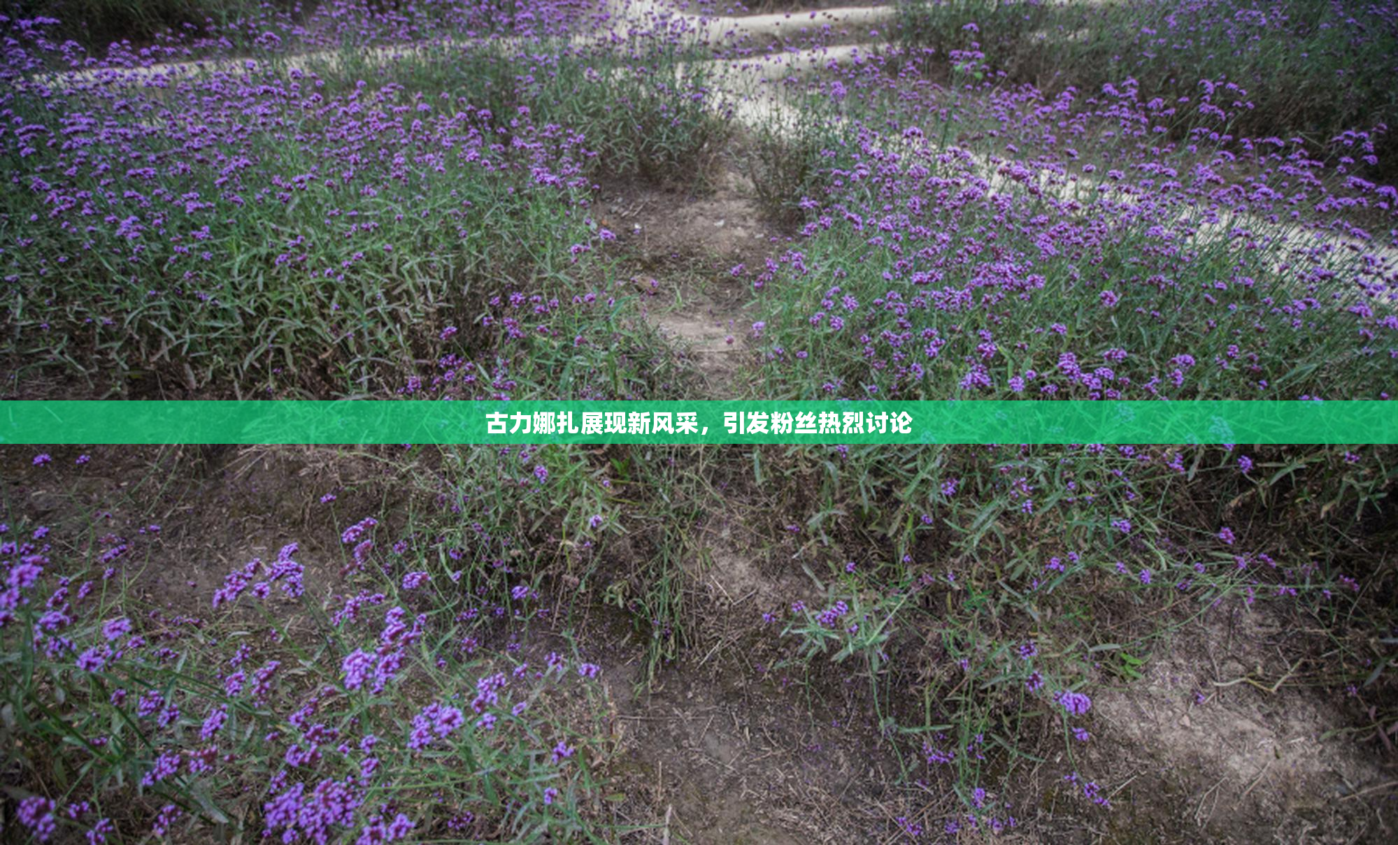 古力娜扎展现新风采，引发粉丝热烈讨论
