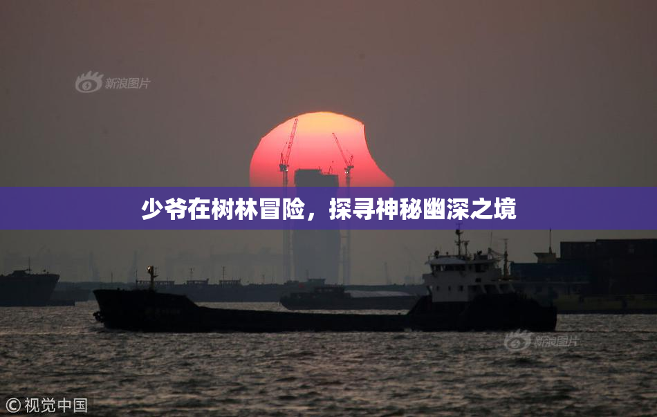 少爷在树林冒险，探寻神秘幽深之境