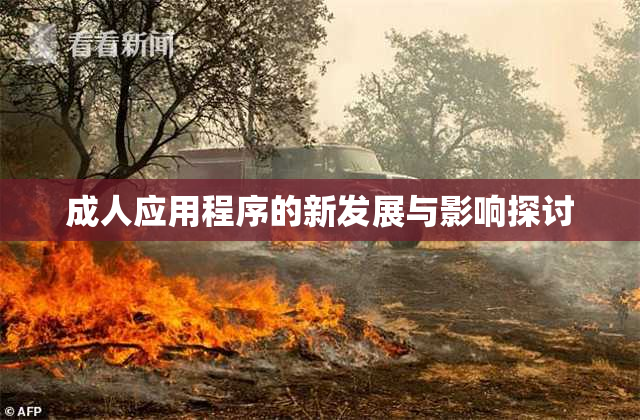 成人应用程序的新发展与影响探讨