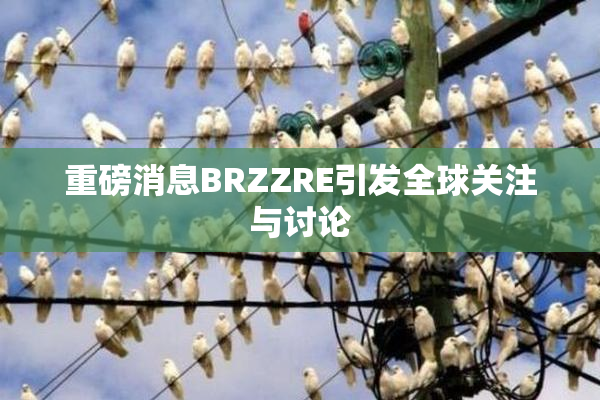 重磅消息BRZZRE引发全球关注与讨论