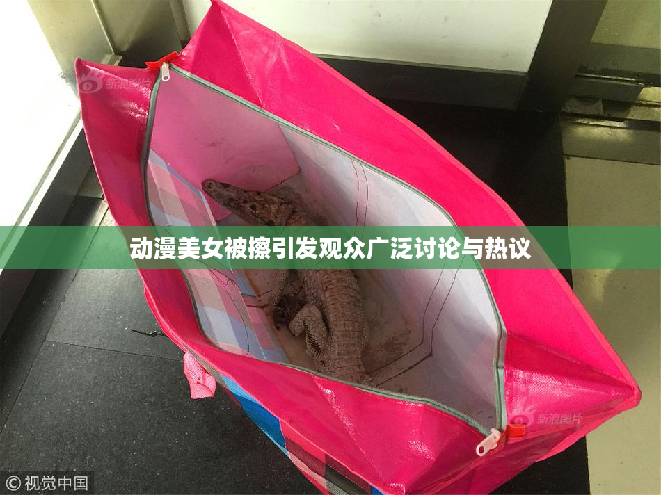 动漫美女被擦引发观众广泛讨论与热议