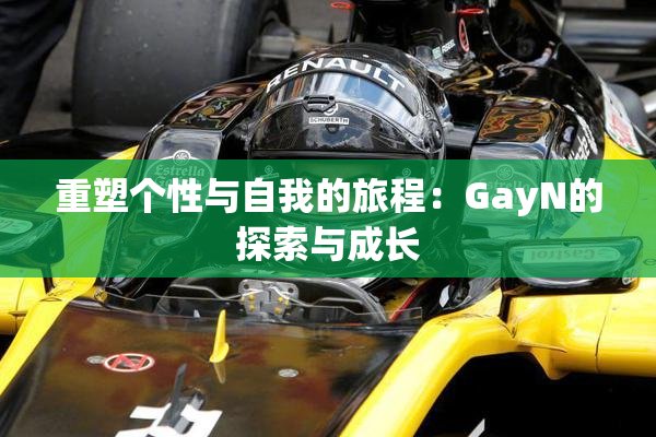 重塑个性与自我的旅程：GayN的探索与成长