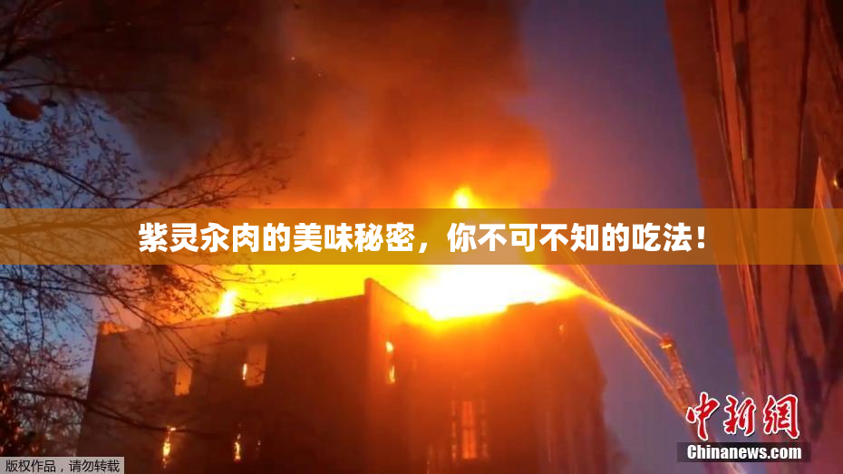 紫灵汆肉的美味秘密，你不可不知的吃法！