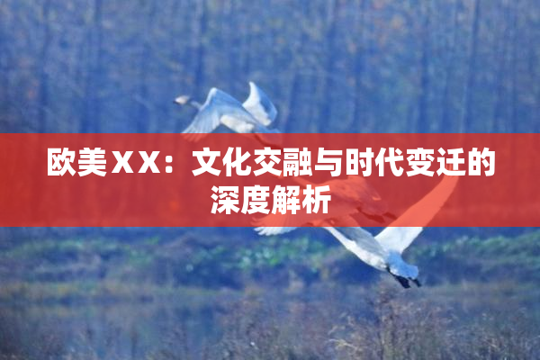欧美ⅩX：文化交融与时代变迁的深度解析