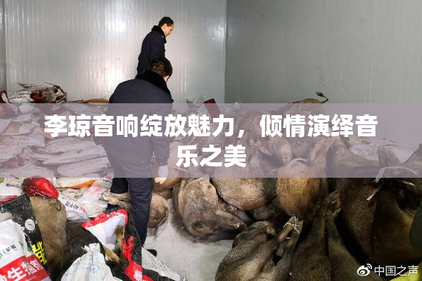 李琼音响绽放魅力，倾情演绎音乐之美