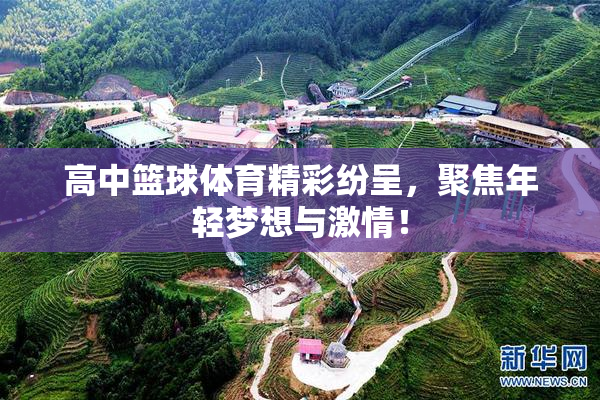 高中篮球体育精彩纷呈，聚焦年轻梦想与激情！