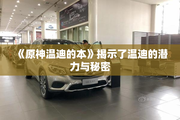 《原神温迪的本》揭示了温迪的潜力与秘密