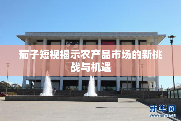 茄子短视揭示农产品市场的新挑战与机遇