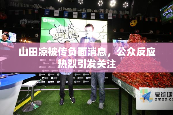 山田凉被传负面消息，公众反应热烈引发关注